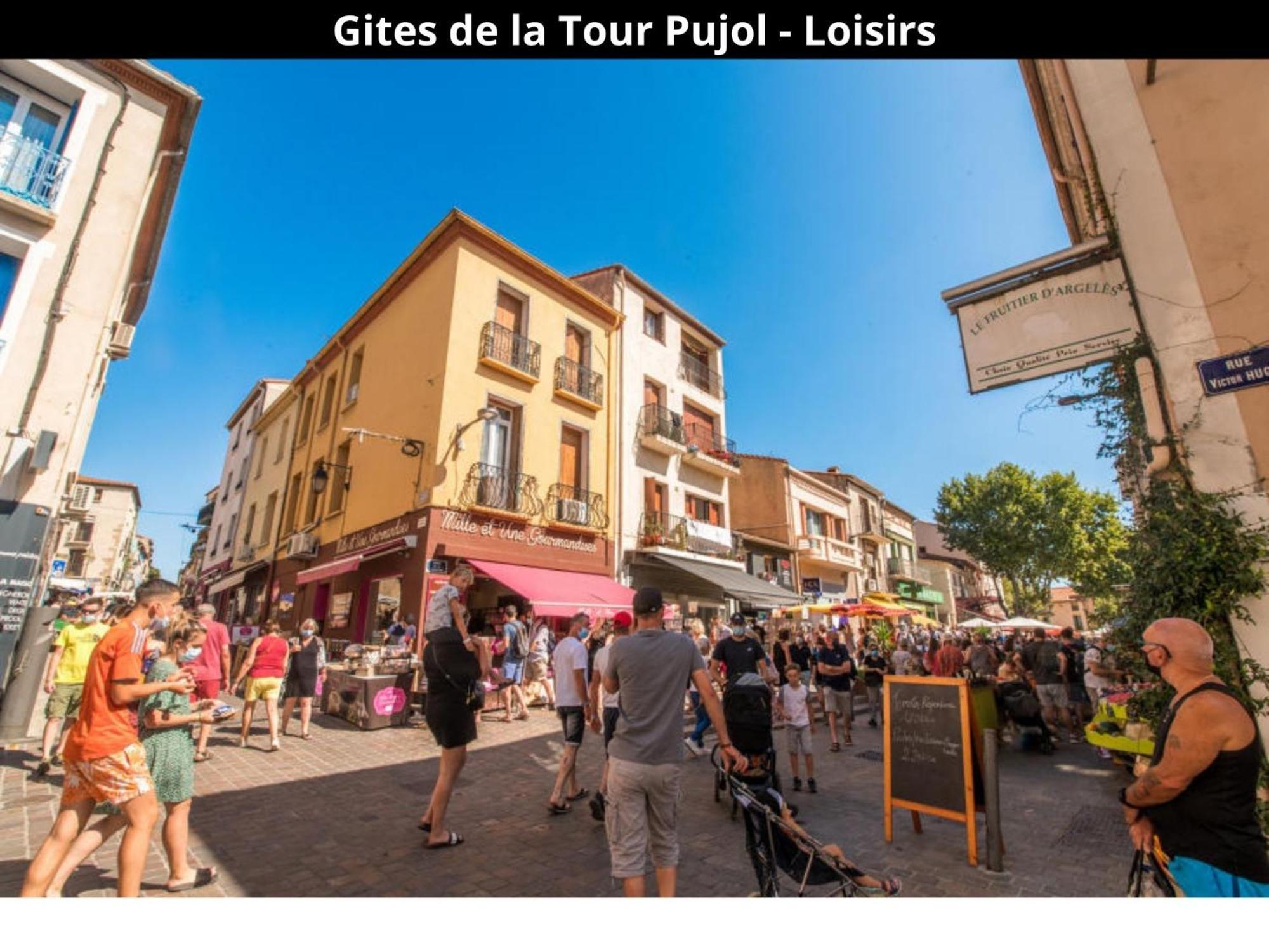 Les Gites De La Tour Pujol アルジェレス・シュル・メール エクステリア 写真