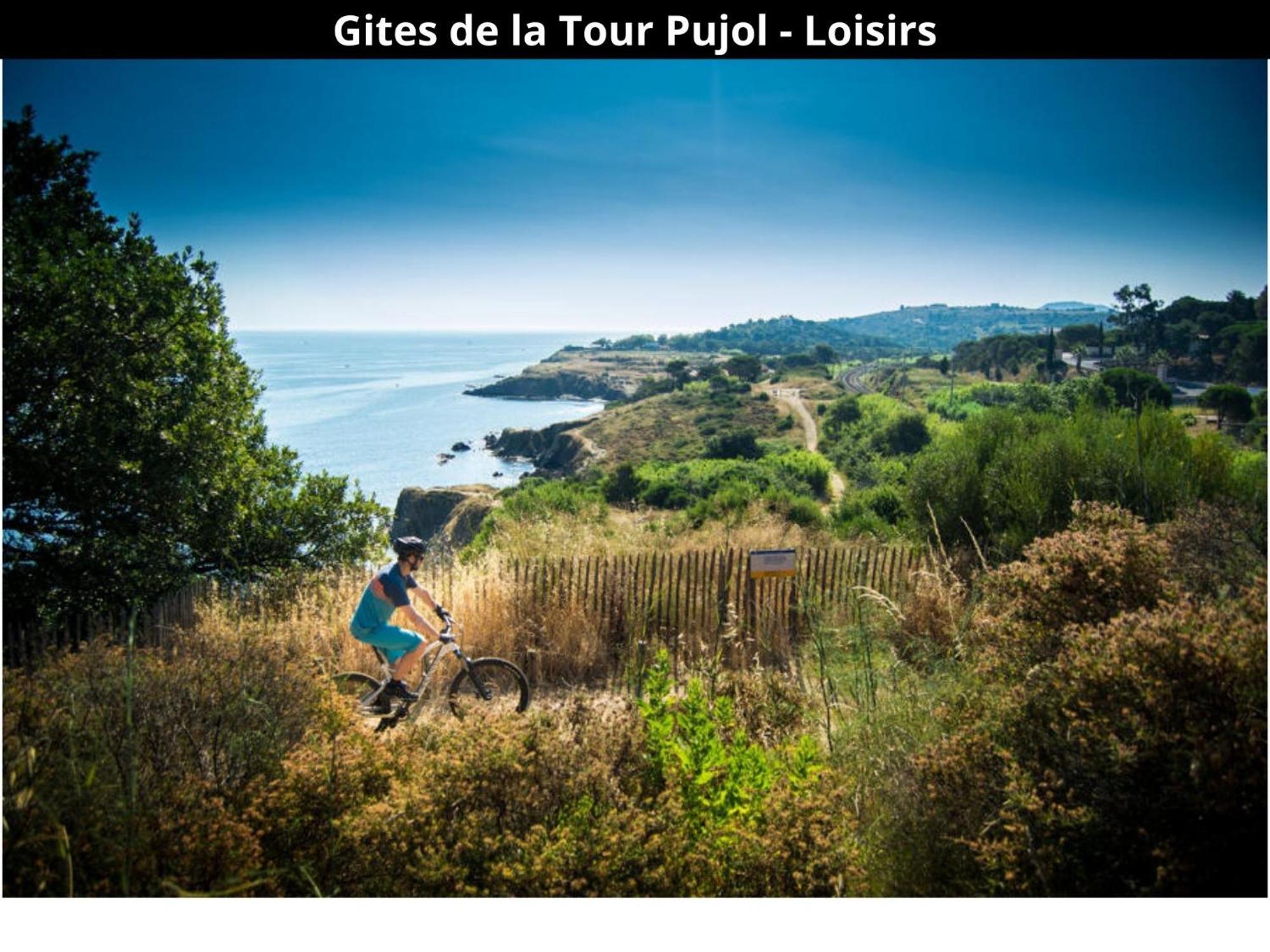 Les Gites De La Tour Pujol アルジェレス・シュル・メール エクステリア 写真